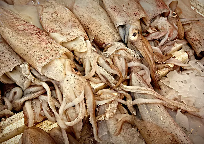 Calamares en el mercado