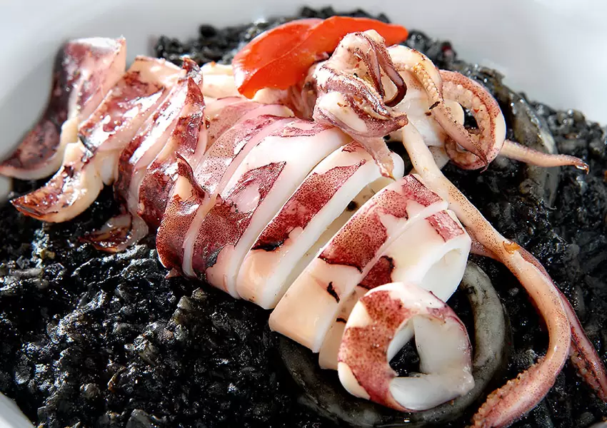 Calamares en su tinta