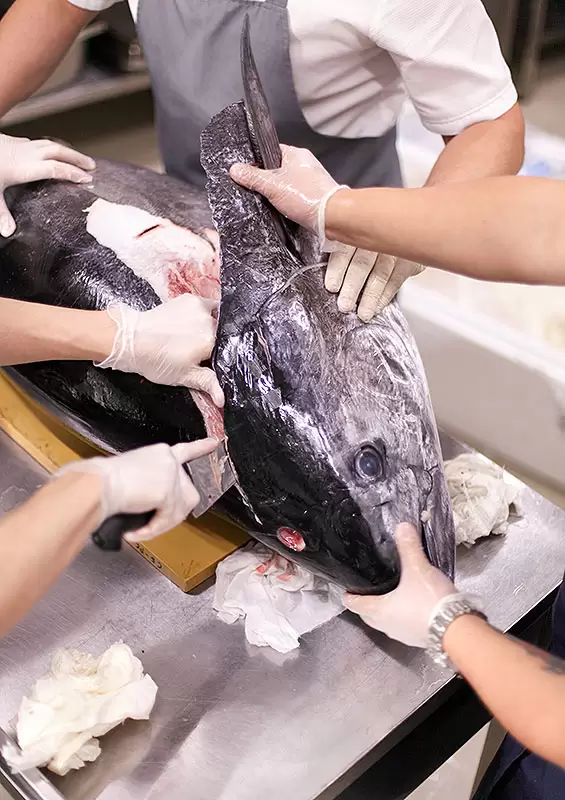 Cortando pescado en mesa de acero
