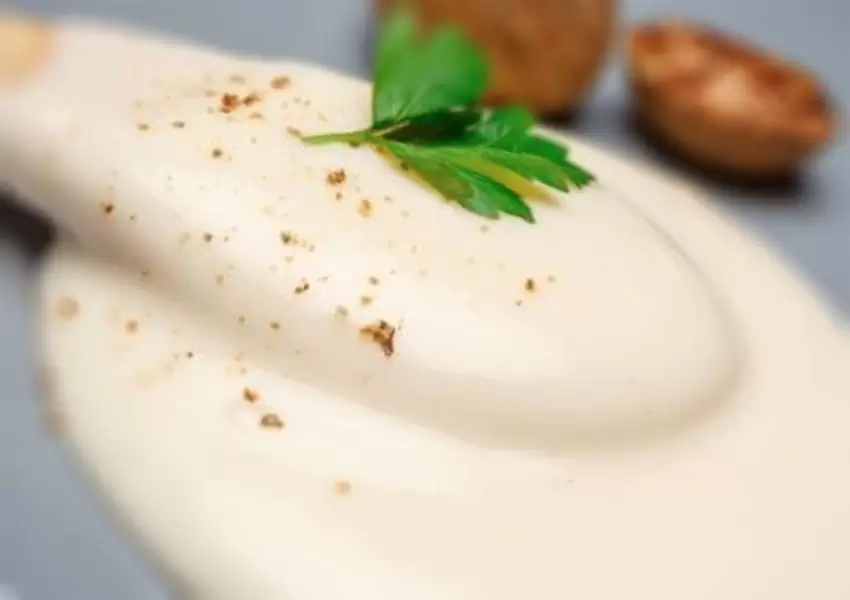 Salsa bechamel