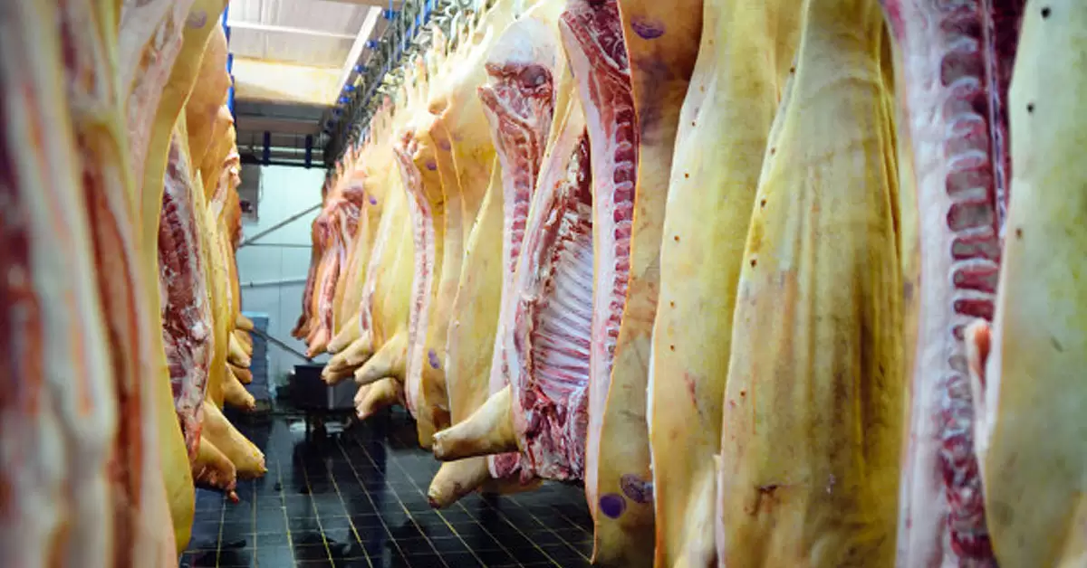 Ventajas de la refrigeración en la cocina