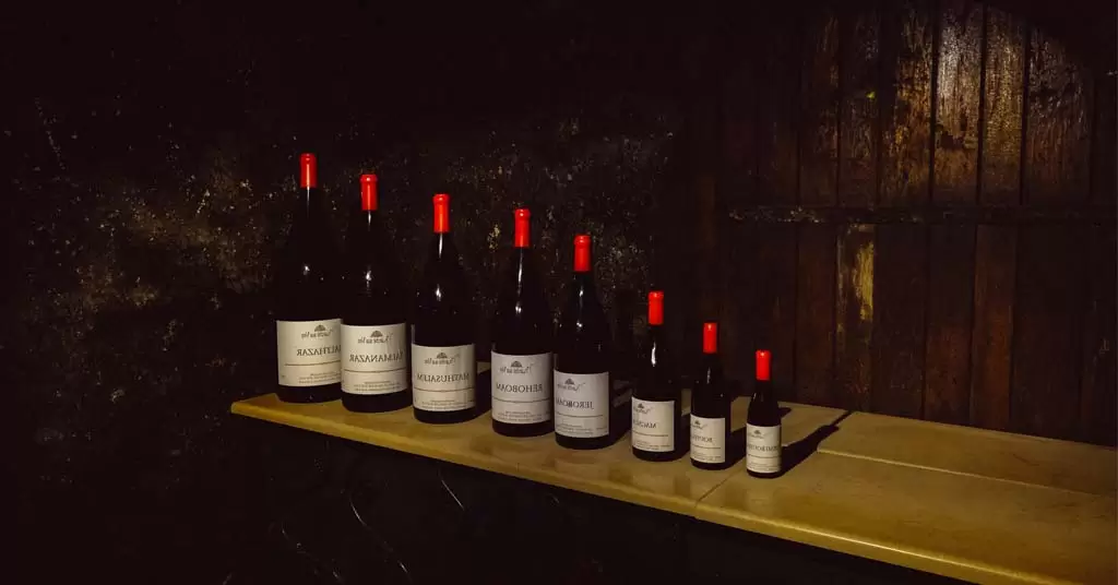 cuerpo-como-escoger-un-buen-vino2