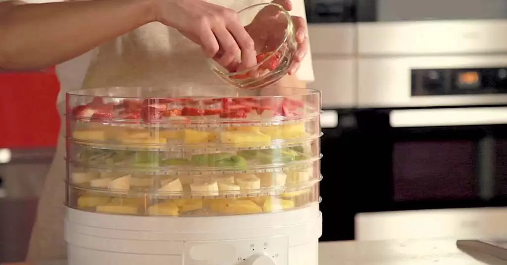como-funciona-deshidratador-de-alimentos