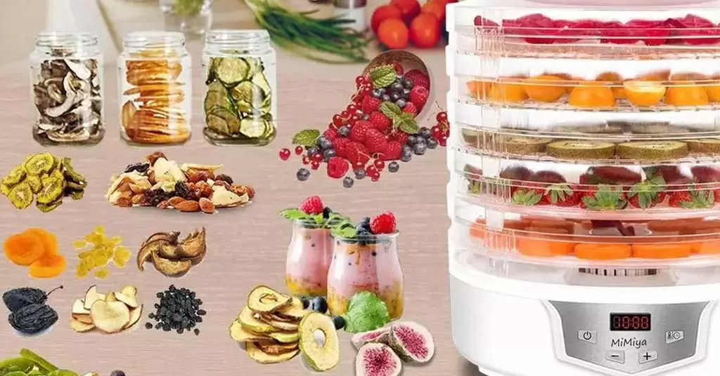 Ventajas deshidratador de alimentos